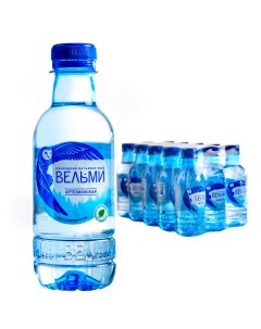 Артезианская природная питьевая негазированная вода 0 25 15 бутылок Вельми