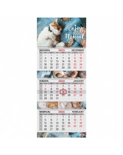 Календарь квартальный 3 блока на 2024г Sleepy cat 115303 3 шт Brauberg