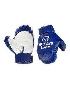Боксёрские перчатки в сетке IT107831 Star team