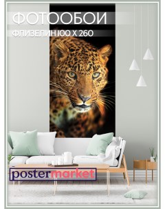 Фотообои флизелиновые WM 194NW Леопард 100 260 см Postermarket