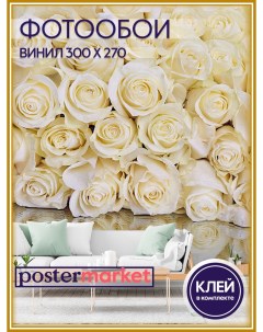 Фотообои виниловые WM 254V1 Белые розы 300х270 см Postermarket