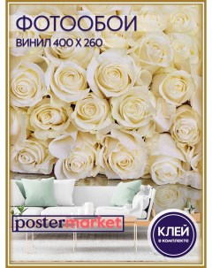 Фотообои виниловые WM 246V1 Белые розы 400х270 см Postermarket