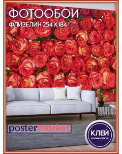 Фотообои флизелиновые WM 36NW Красные розы 254х184 см Postermarket