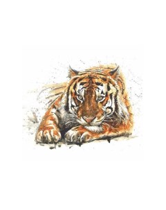 Фотообои BELLISSIMO Амурский тигр 1 398х1 398 м В 003 Симфония
