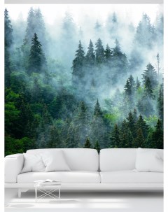 Фотообои флизелиновые WM 154NW Туманный лес 300 260 см Postermarket