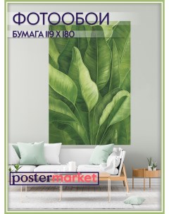 Фотообои бумажные WM 364 Пальмовые листья 119х180 см Postermarket