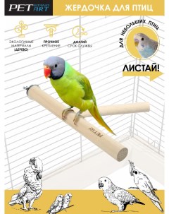 Игрушка для птиц Жердочка рогатка деревянная 20х2х11 см Petstandart