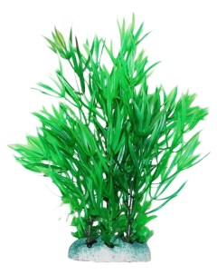 Растение для аквариума Гемиантус зеленый 20 см Уют