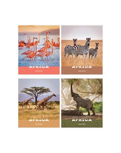Тетрадь общая в клетку Животные Nature of Africa 48 л 1 шт Artspace