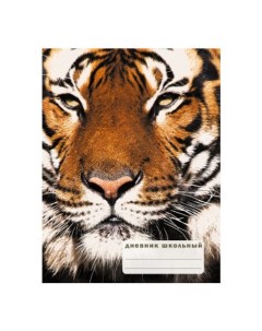 Дневник для старших классов Взгляд тигра 48 листов Unnika land