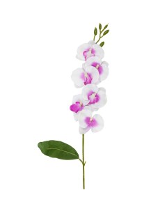 Растение искусственное Орхидея пышность 60 см белый Нет марки