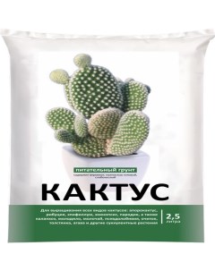 Почвогрунт для кактусов 2 5л Parterra