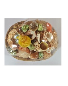 Дары моря Набор раковин для аквариума 250 гр Аква меню