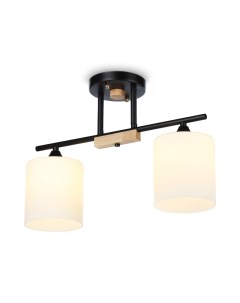 Накладной светильник TR9543 Ambrella light