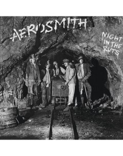 Рок Aerosmith Night In The Ruts Black Vinyl LP Universal us