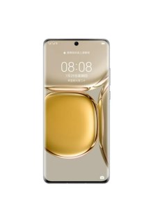 Смартфон P50 Pro 8 256GB Cocoa Gold JAD LX9 Huawei