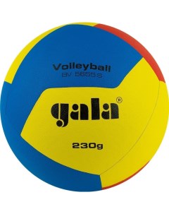 TRAINING 230 12 Мяч волейбольный 5 Gala