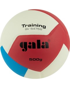 TRAINING HEAVY 12 Мяч волейбольный утяжеленный 5 Gala