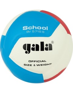 SCHOOL 12 Мяч волейбольный 5 Gala