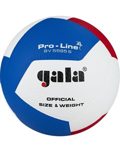 PRO LINE 12 Мяч волейбольный 5 Gala