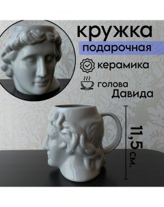 Кружка для кофе и чая 500 мл голова Давида в подарочной упаковке CupDavid Gray Vilagio