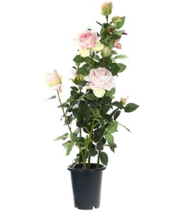Искусственный цветок Роза светло розовая в кашпо 102 см Tianjin