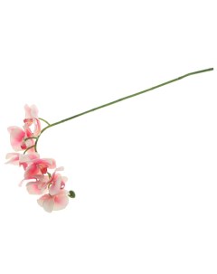 Искусственный цветок Орхидея 72 см кремово розовый Dpi
