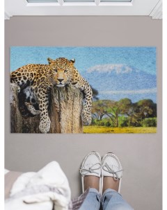 Придверный коврик Вальяжный гепард для обуви 75x45 см Joyarty
