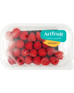 Малина 250г упаковка Artfruit