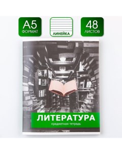 Предметная тетрадь 48 л ПРЕДМЕТЫ со справочными материалами Литература Artfox study