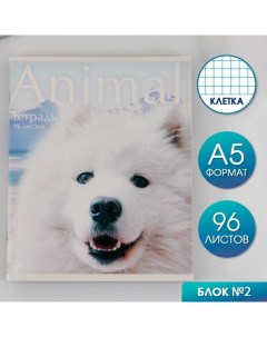 Тетрадь А5 96 л на скрепке Animal Artfox study