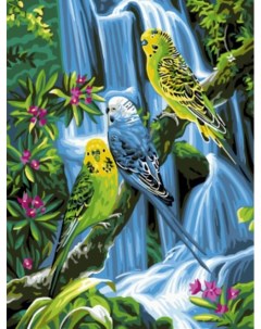 Картина по номерам на холсте 30х40 Волнистые попугаи EX5286 Цветной