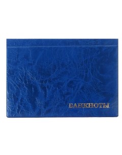 Альбом для бон 125 х 185 мм на 24 банкноты обложка искусственная кожа синий Calligrata