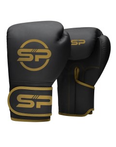 Боксерские перчатки BGR F6 Черные 16 унций Sp