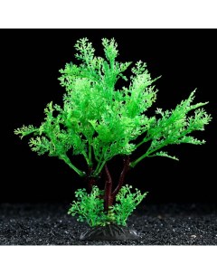 Искусственное растение для аквариума и террариума красно зелёное 15 см 3 шт Пижон аква