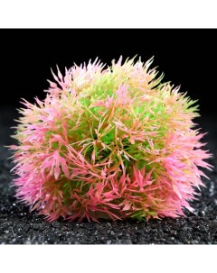 Шар для аквариума розовый 13 см 5 шт Пижон аква