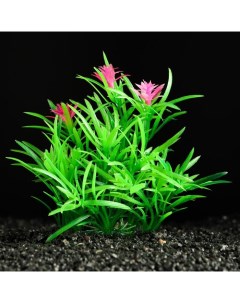 Искусственное растение для аквариума и террариума зелёное 11 см 3 шт Пижон аква