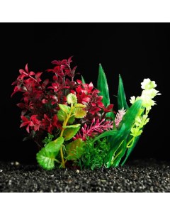 Искусственное растение для аквариума и террариума 12 см 3 шт Пижон аква