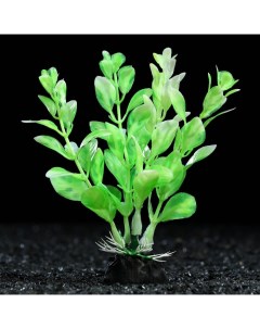 Искусственное растение для аквариума и террариума зелёно белое 5 шт Пижон аква