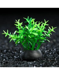 Искусственное растение для аквариума и террариума зелёное 5 см 10 шт Пижон аква
