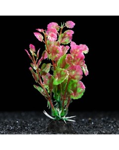 Искусственное растение для аквариума и террариума 3х13 см 5 шт Пижон аква