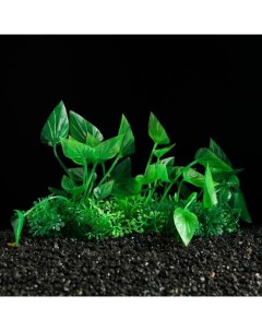 Искусственное растение для аквариума и террариума зелёное 10 см 3 шт Пижон аква