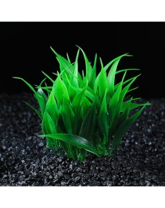 Искусственное растение для аквариума и террариума кустовое зеленое 10 см 2 шт Пижон аква