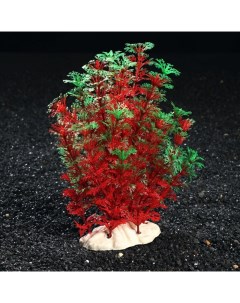 Искусственное растение для аквариума и террариума 17х15х20 см 2 шт Пижон аква