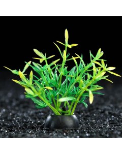 Искусственное растение для аквариума и террариума зелёное 2 5х5 см 10 шт Пижон аква
