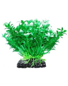Растение аквариумное Микрантемум зелено белый Уют
