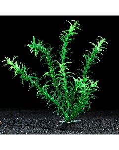 Искусственное растение для аквариума и террариума зелёное 4х20 см 5 шт Пижон аква