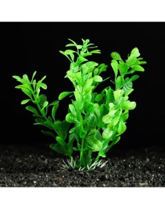 Искусственное растение для аквариума и террариума зелёное 3х13 см 5 шт Пижон аква