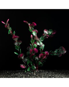 Искусственное растение для аквариума и террариума красно зелёное 4х30 см 5 шт Пижон аква