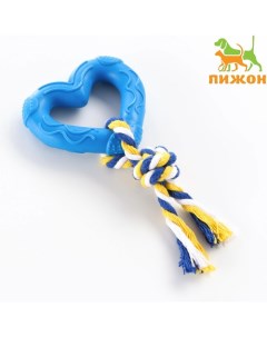 Игрушка для собак Сердечко с канатом голубое 7 см Пижон